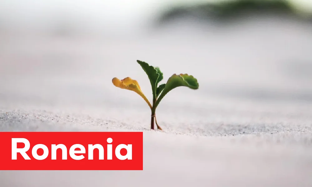 ronenia